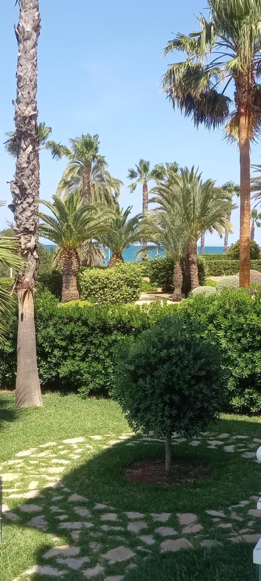Beach View - Primera Linea Lujo Dénia Extérieur photo